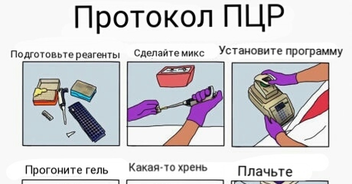 Пцр тест картинки