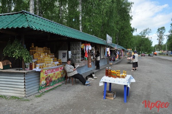 Экскурсии в Горном Алтае | Отдых в Горном Алтае летом 2016 Путешествия, Республика Алтай, Длиннопост