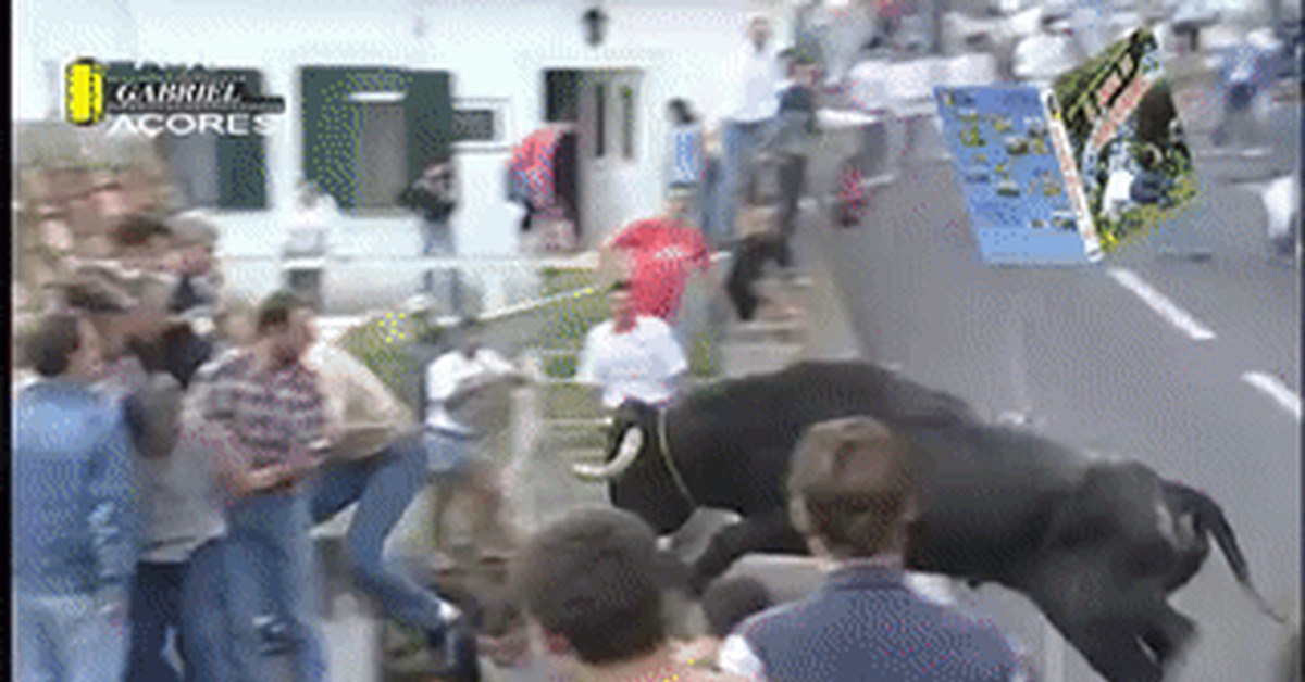 Mess With The Bull Get The Horns Gif