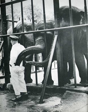 Карманники