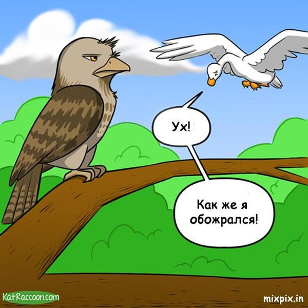 Передозировка | Пикабу