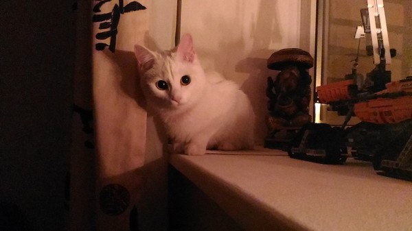 � ��������� �������� �����