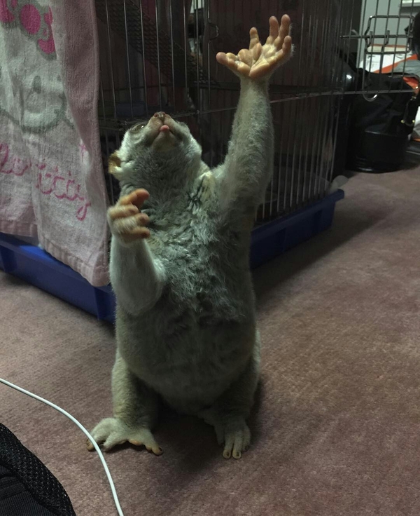 Сфоткай, типа обращаюсь к богам