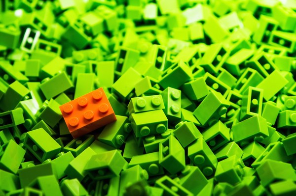 ���� �������� ����