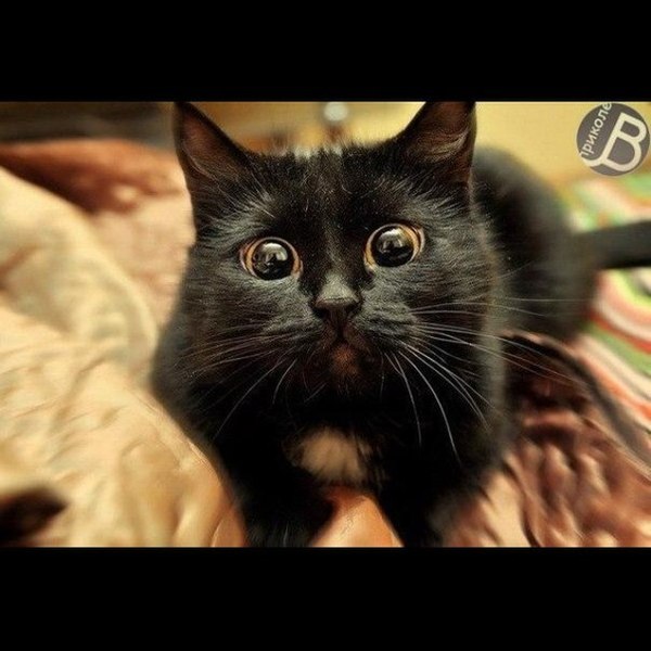 ������ ������ ����������? � 16:00 ��� �� ������������ �����?