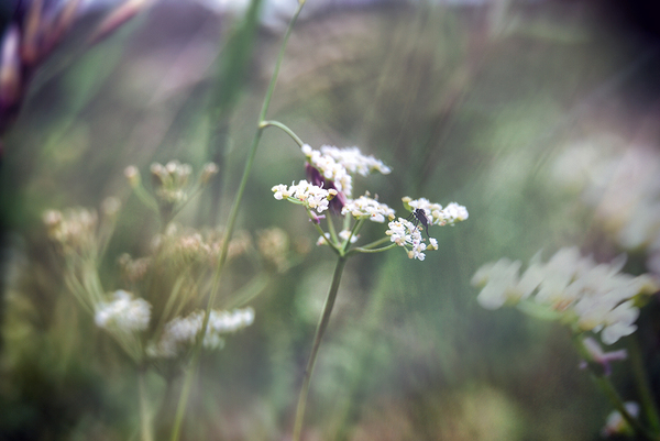 �����, ����������, ���.