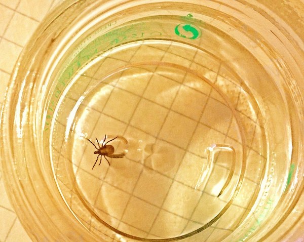 ��� ������....