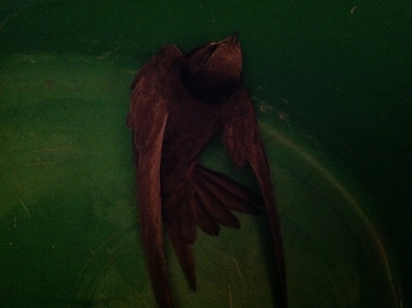 �� ������ ����� ��. ��� ������? ������ ������... ������ �����