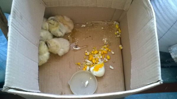 ��� �� ��� �� ���.