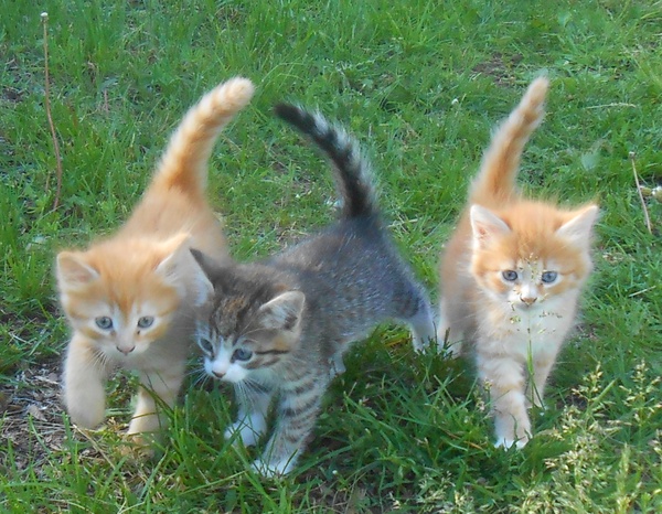 ����� ����� �����.�����������.