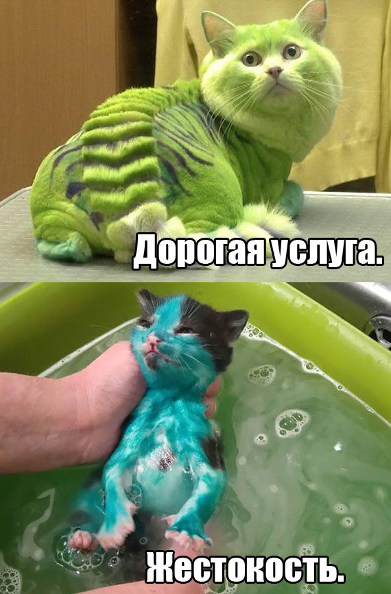 Двойные стандарты.