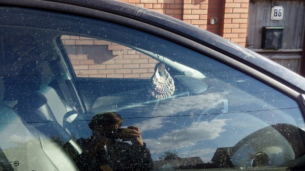 "�� � ������ ��� ��������" ��� "������������"