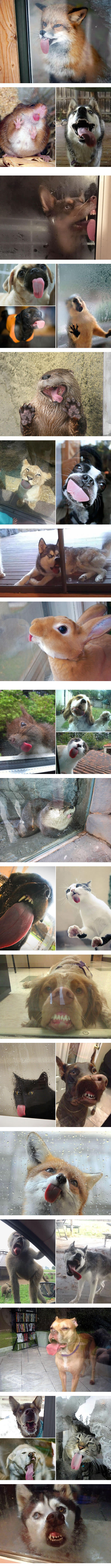 �������� � ������...