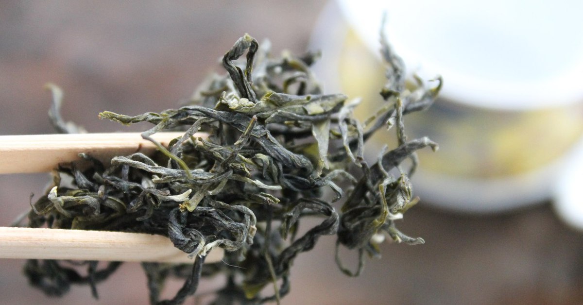 Ужасный чай. Зелёный неферментированный чай. Ферментированный чай. Китайский ферментированный чай. Ферментация чая.