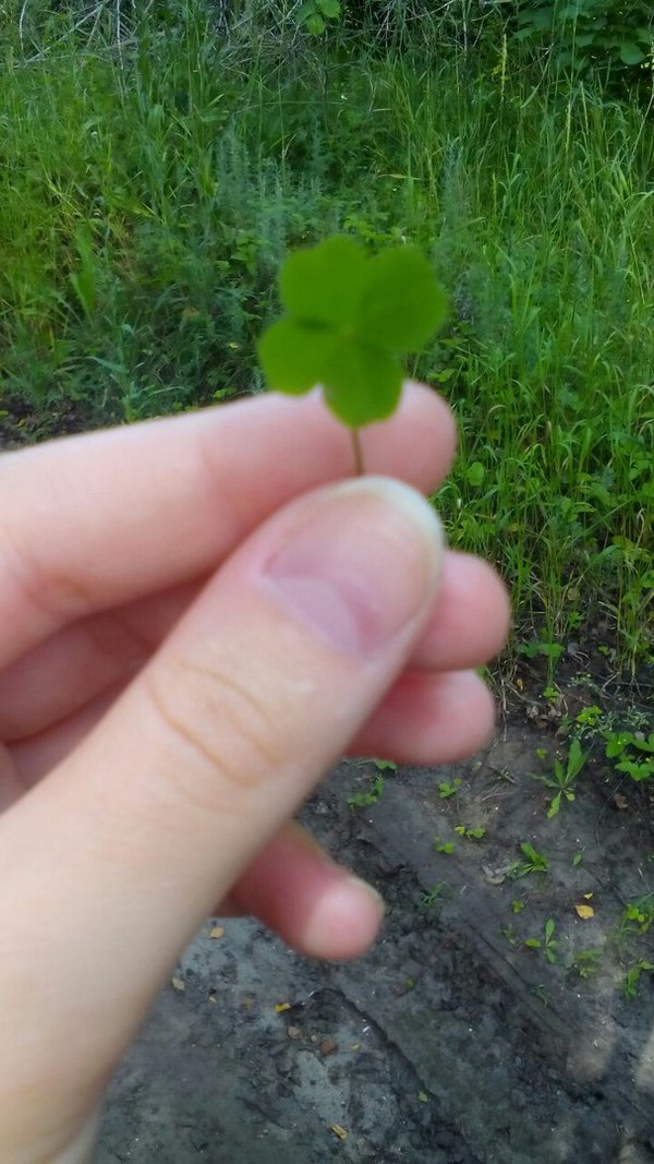 ������ �����)