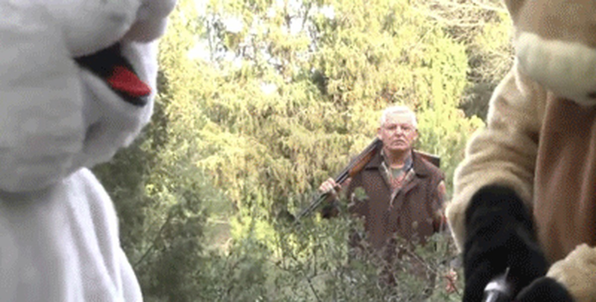 Revenge for the hunter. - NSFW, Hunter, Animals, Revenge, What's happening?, GIF