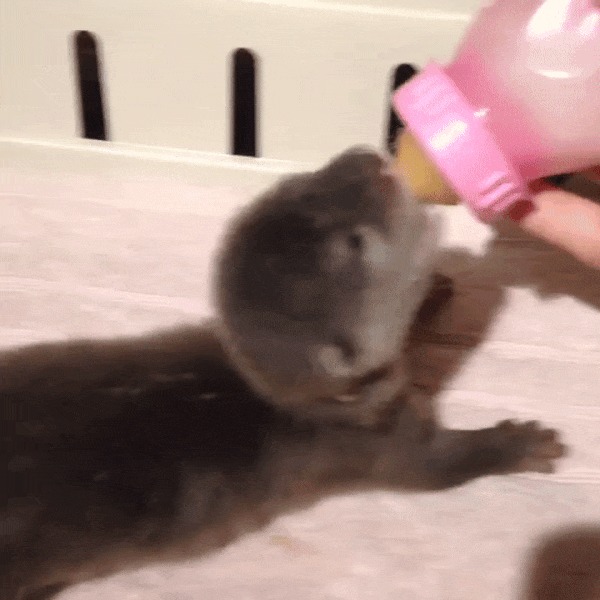  , !