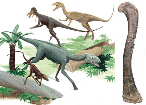 Реферат: Краткая история динозавров