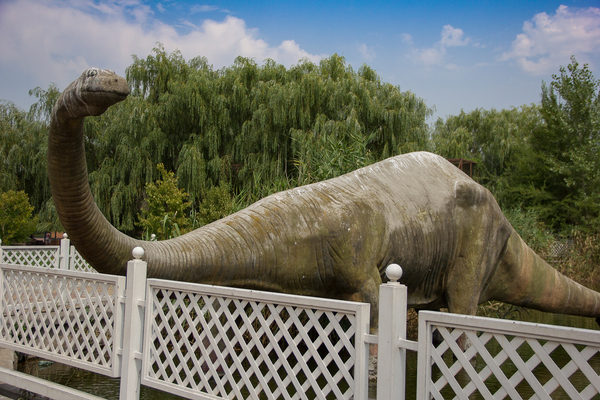 Ростовский зоопарк Зоопарк, Животные, Ростовский зоопарк, Ростов-на-Дону, Canon 60D, Длиннопост