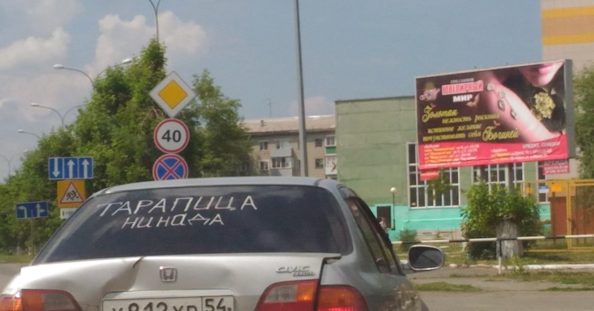 Тарапица нинада картинки