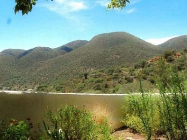 ����� ��� �����?