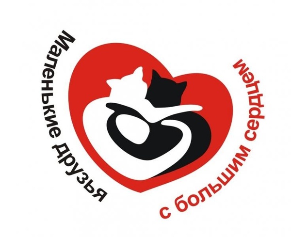 О помощи животным