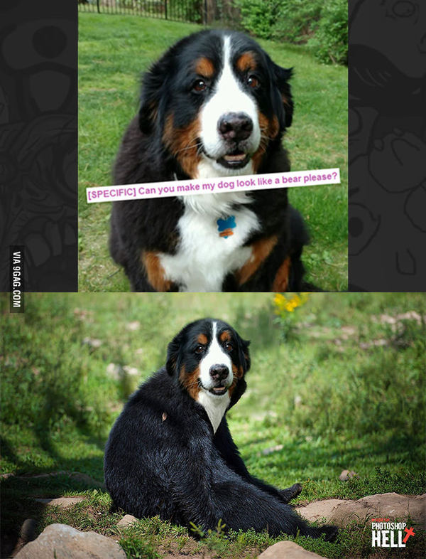 Сделайте мою собаку похожей на медведя