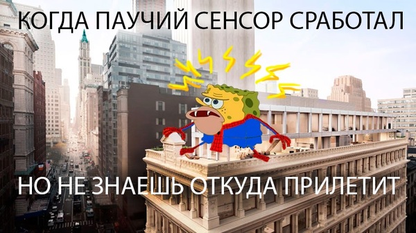 Вечная проблема человека-паука