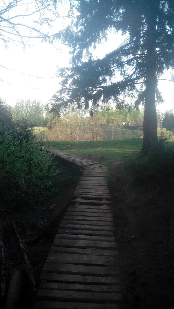 Морской глаз | Пикабу