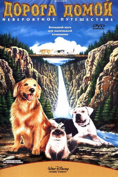 Советую посмотреть фильм "Дорога домой: Невероятное путешествие"