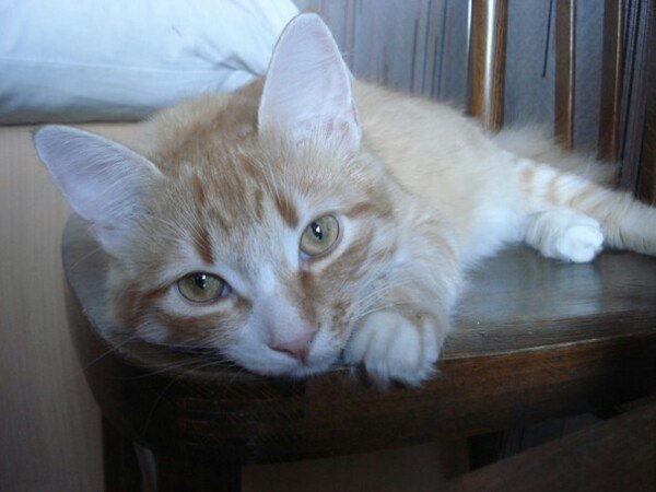 Не затягивайте с зубами