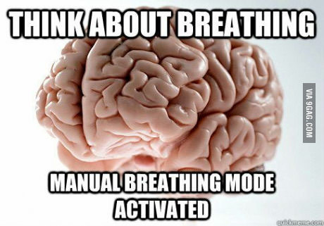 Только не думай о белой обезьяне!