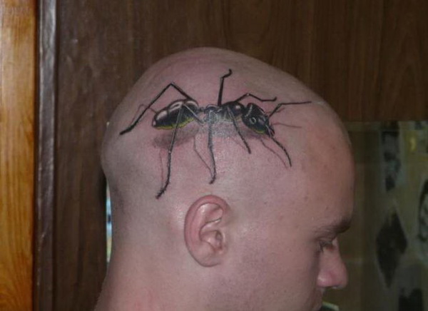 ������ ������������� ����� � ��� �������?