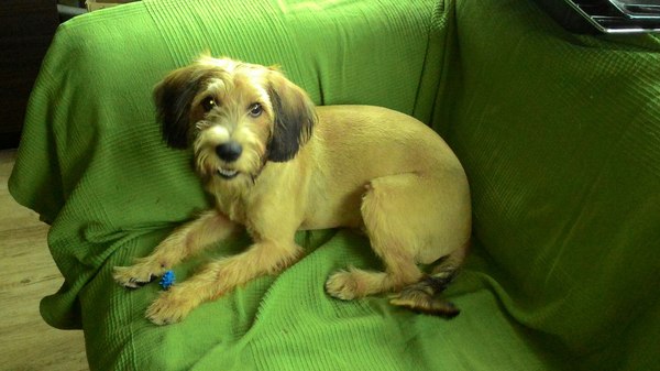 Западня, или как я забыл ключи и возненавидел соседей