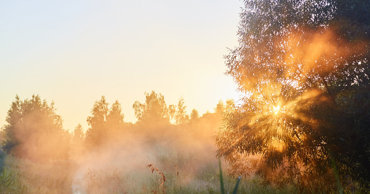 Shining morning. Утро природа. Утро природа рассвет. Утро солнце. Доброе утро природа.