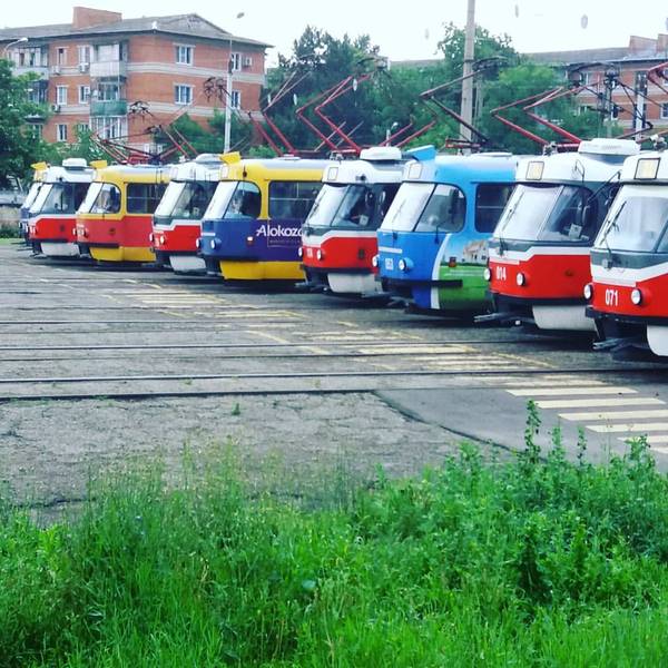 Ждут своих водителей )