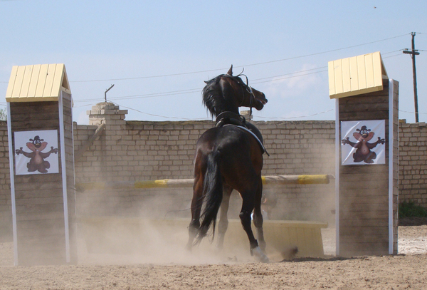 Моя первая травма. Часть 1.