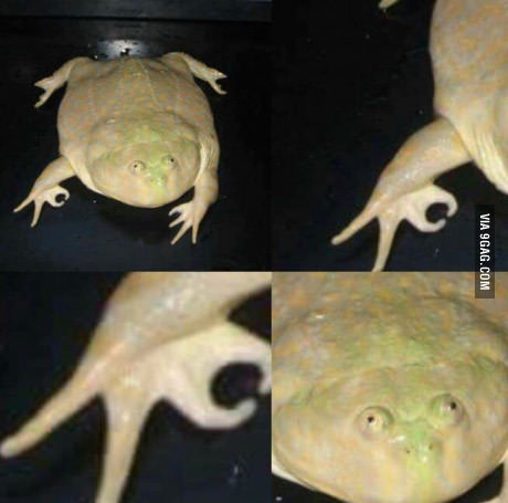 Когда у тебя все ОК и ты станешь царевной этой ночью