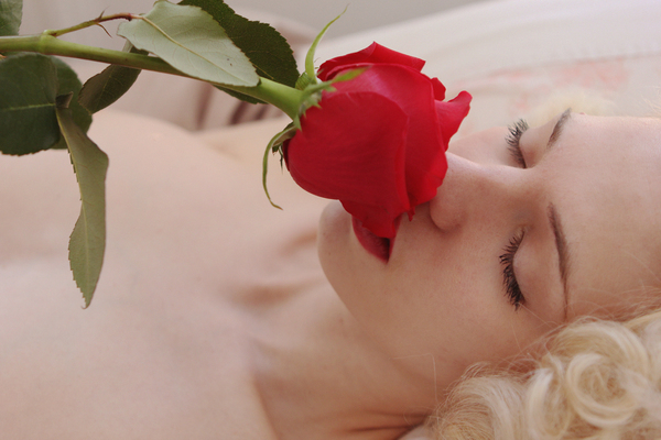 Contrast - Erotic, Blonde, the Rose, Breast, NSFW, Pin up