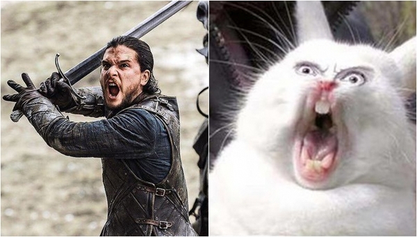 ����� ������, ������ ������!