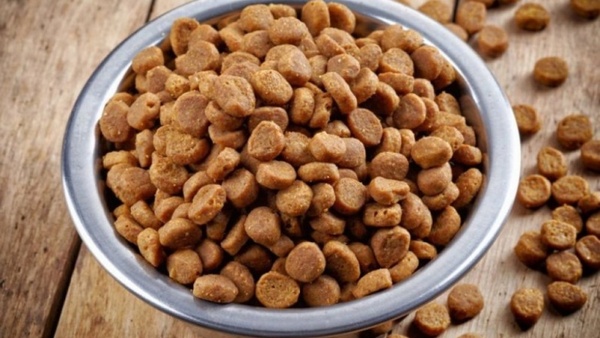 Неизвестные в масках украли корм для собак из зоомагазина в Павлодаре