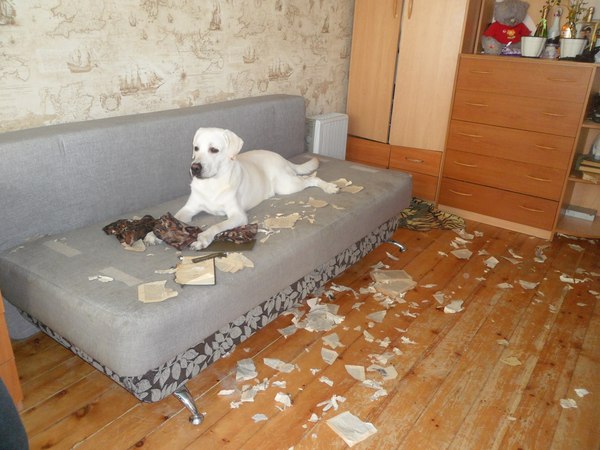 �������-�������� =)