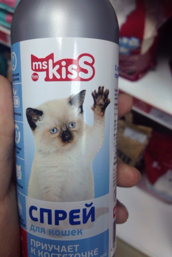 ��������� ����� ��� ��������� ������������ �������?