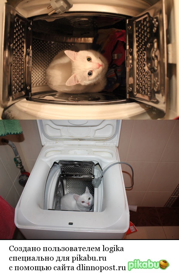 �����, ����� ��� ����� ��� ��� �������? ���������� � �������� �� �������