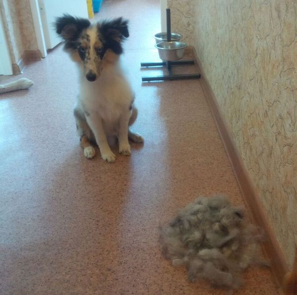 ����� ����� ����� �����������