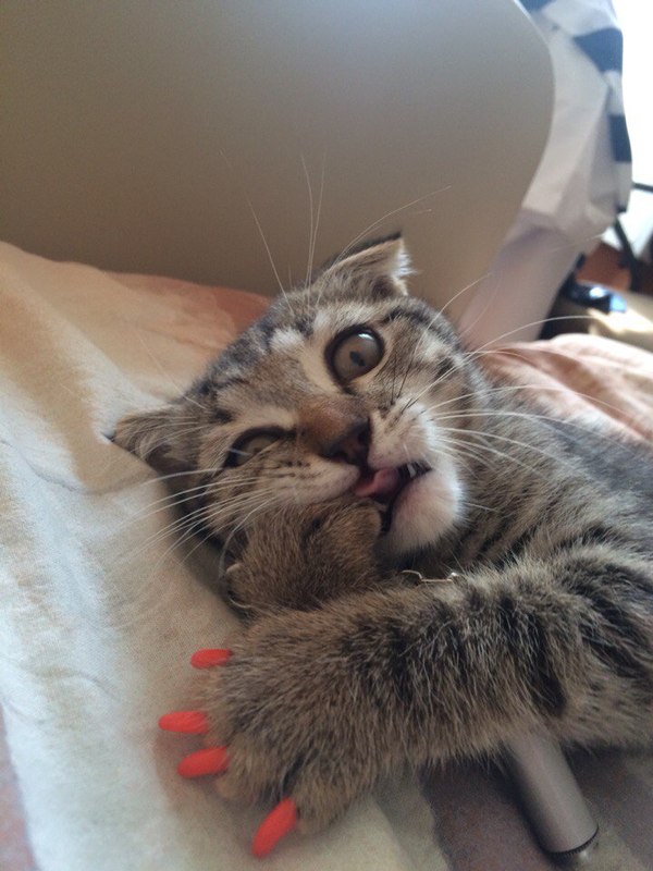 �� ��� �� ��������.