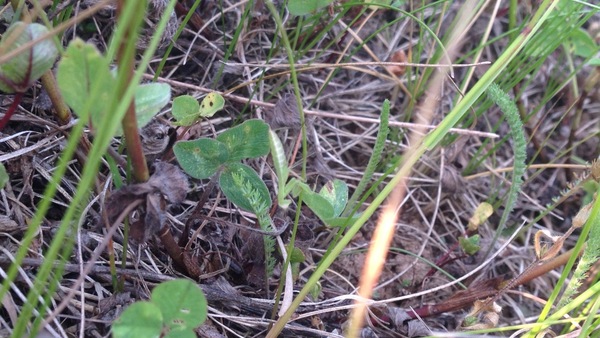 ������� � ��������� ��������.