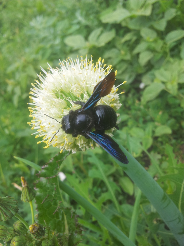 ���������� ��� ���������� �� ����. ������� �� ��������� ����� ������� � ����� �����.