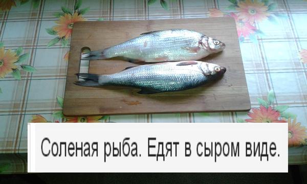 Men food. Salt Fish, Fish food, , , , 
