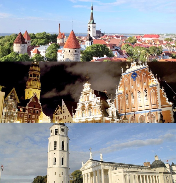 ����������